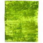 Shaggy SKP12L 8×11 8X11