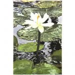 FLOR 2