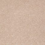 STUCCO 2