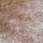 VE-Shangrila-Rust-8×10